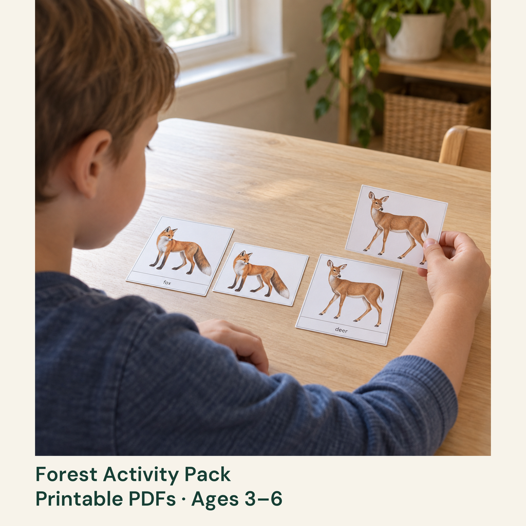 Child matching deer and fox picture cards from the printable Forest Activity Pack for ages 3–6.