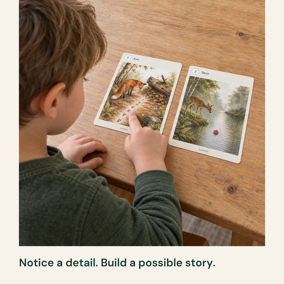 Child pointing to a detail in fox and deer story picture cards.